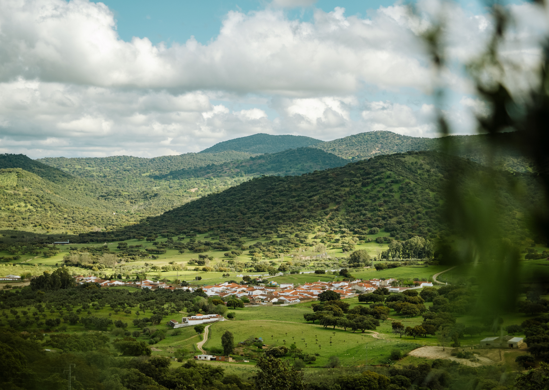 Gastronomie Adalousie