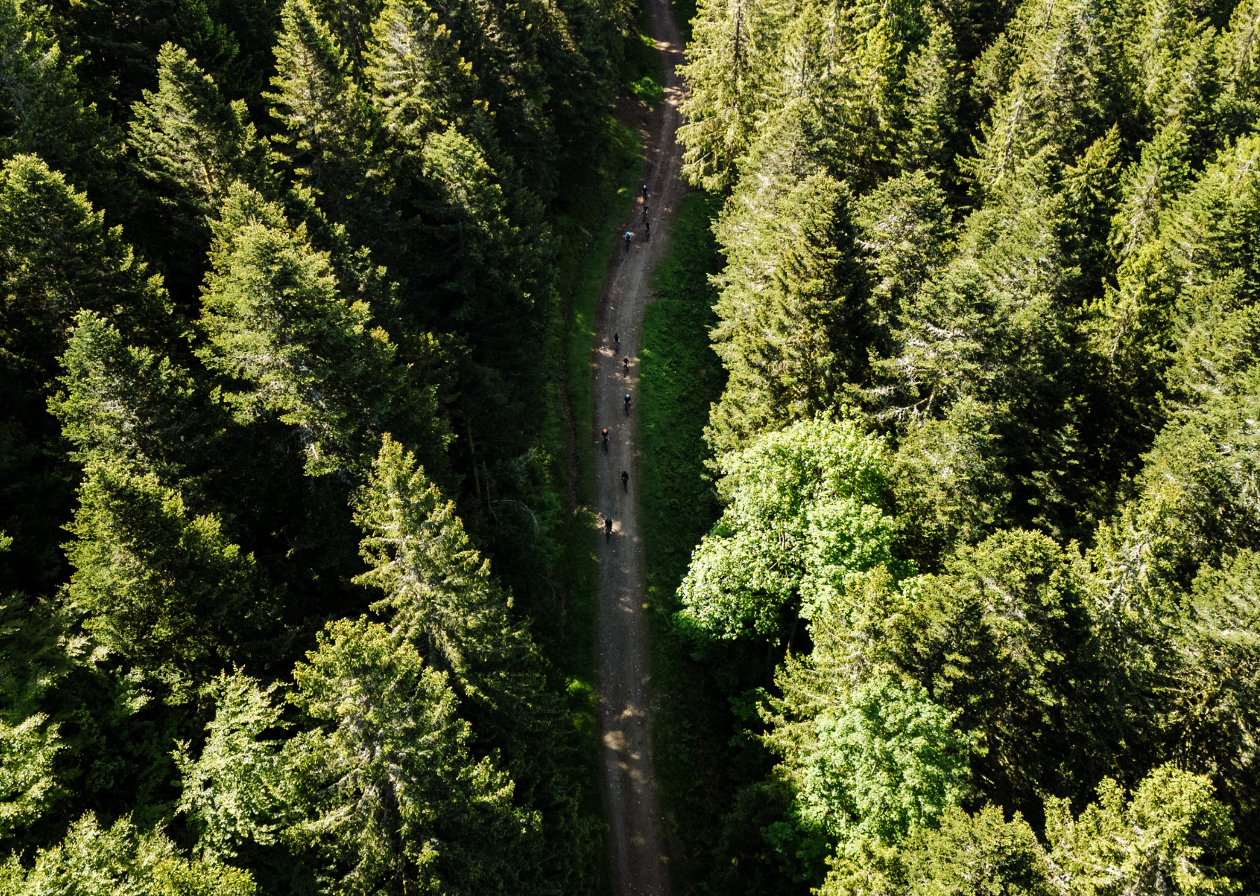 Vosges - Adventurer 4