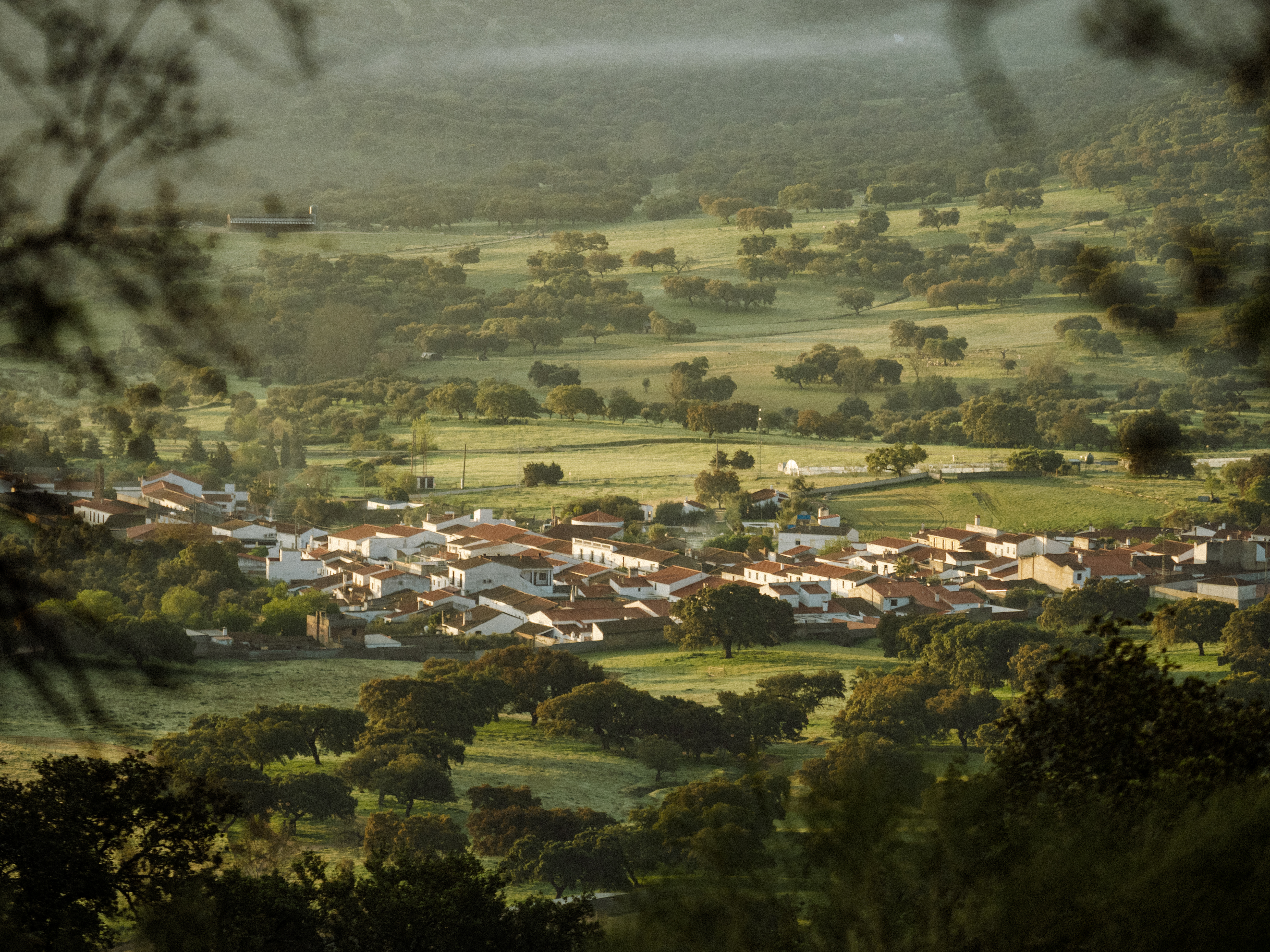 Andalousie_Adventurer_GRVL_6