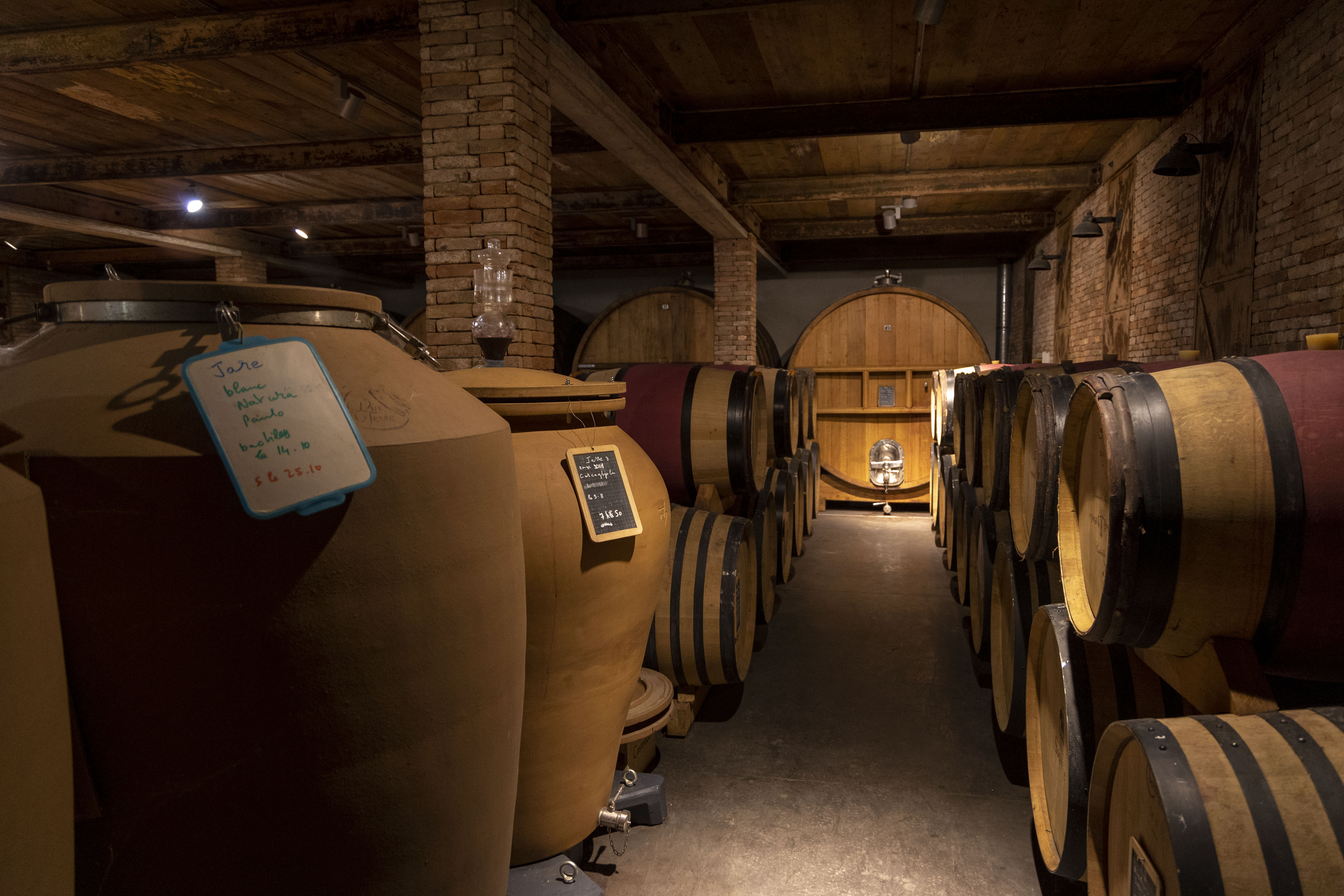 ADVENTURER CORSEGravelCorse-9362