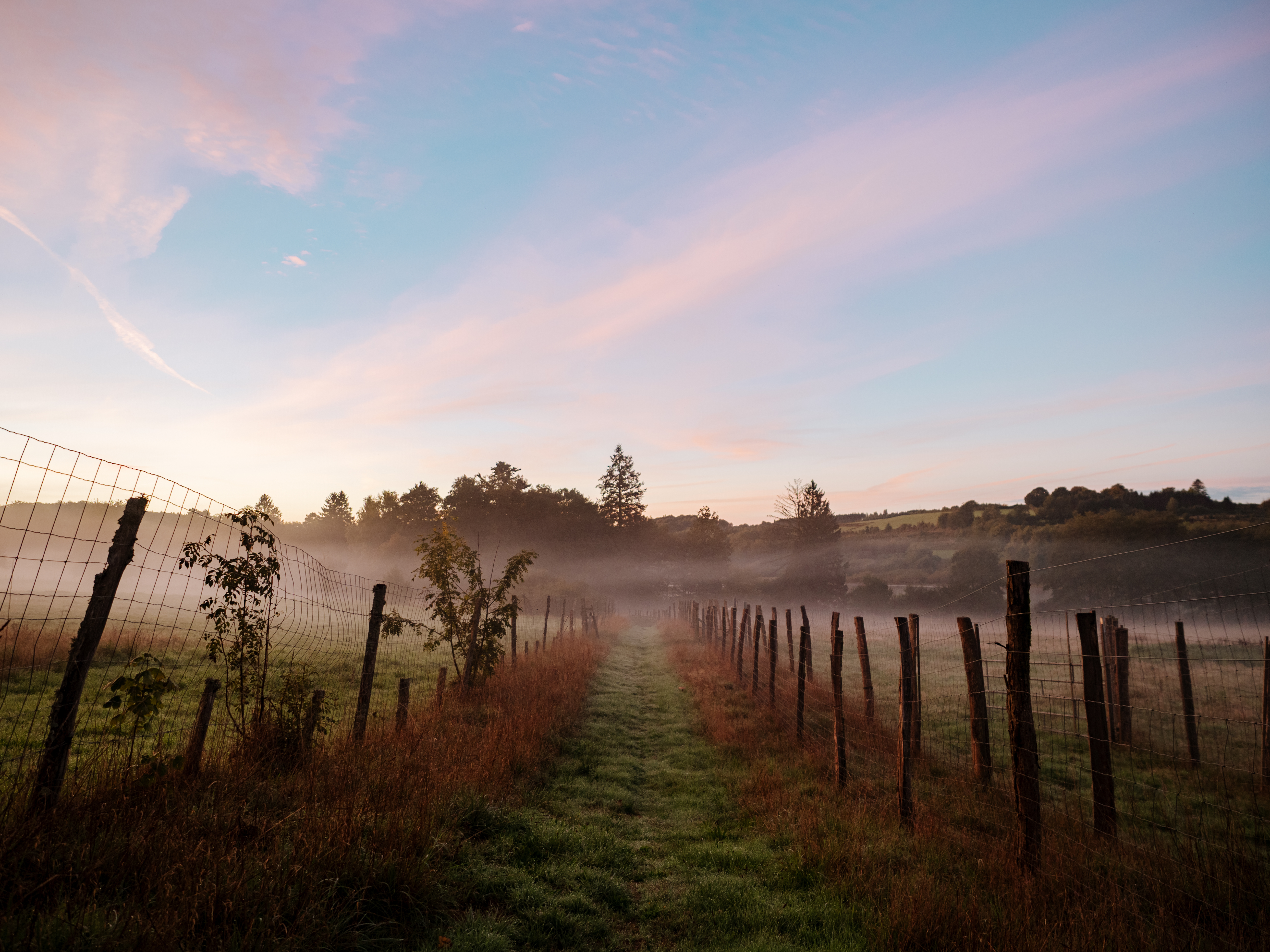 Fiche produit Morvan 21 