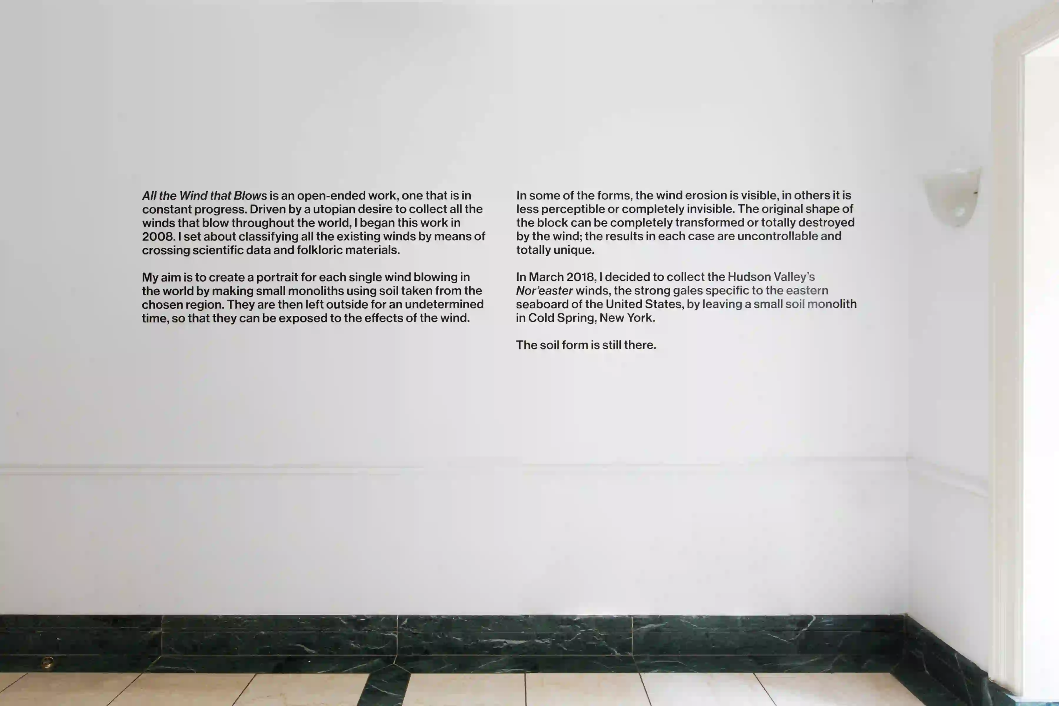 Installation view of Alessandro Piangiamore: Marango
