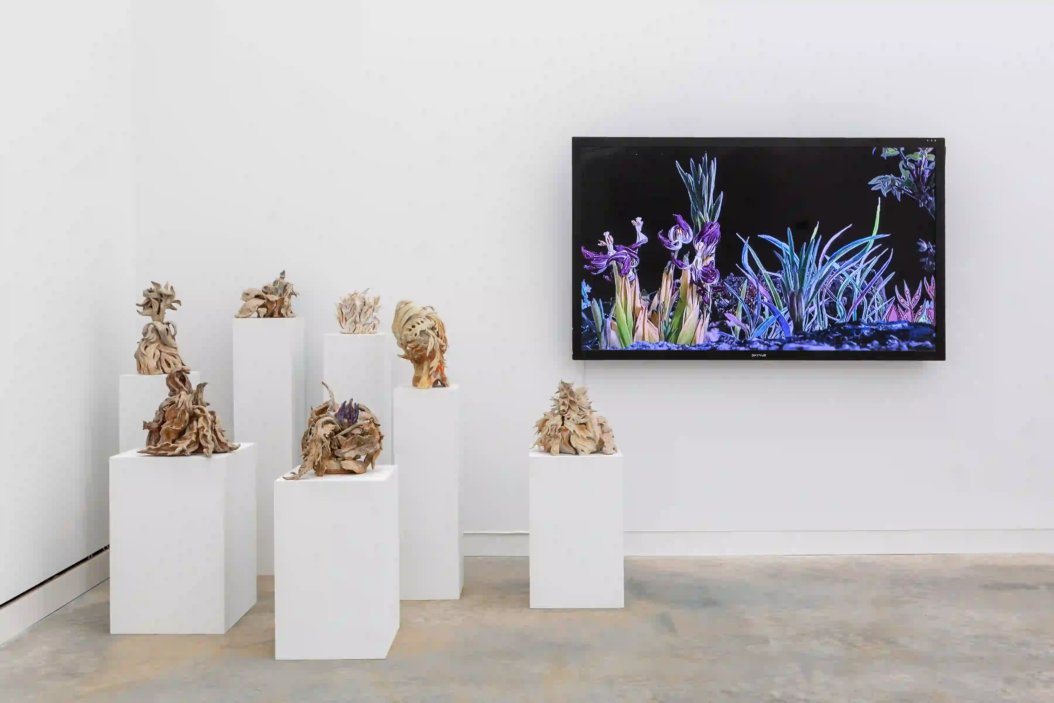 Francesco Simeti, 'The Wilds XVII,' 2017, 'Eryngo,' 2019, 'The Wilds XII,' 2019, 'Hellebore,' 2019, 'Palmata,' 2019, 'Mandrake,' 2018, 'The Wilds I,' 2013 (left); 'Unrelenting,' 2020 (right). Installation view of Homemade at Magazzino Italian Art.