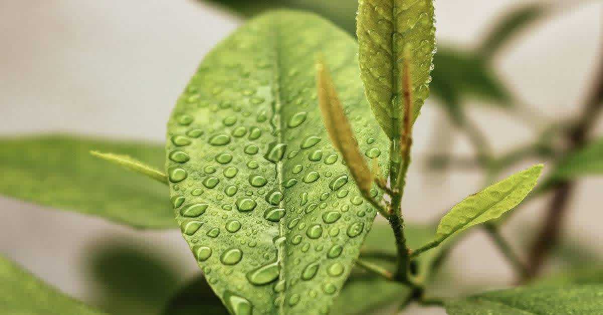 sustainable-swaps-eco-ideal-heating