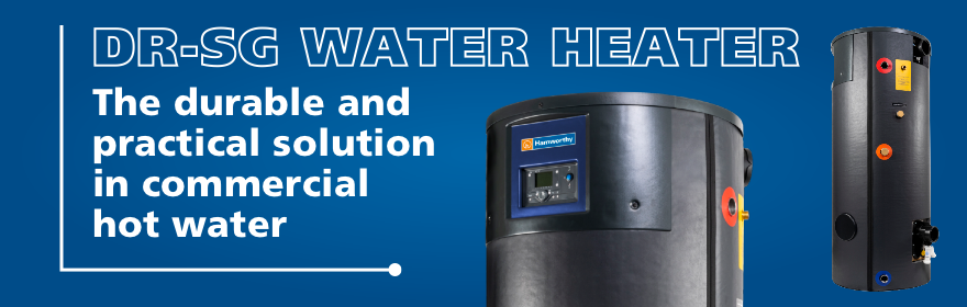 The DR-SG water heater: an expert opinion
