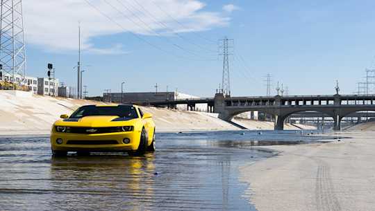 Blog Win an amazing Miami Muscle Header