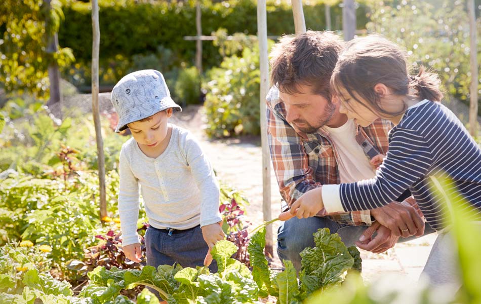 Corporate responsibility