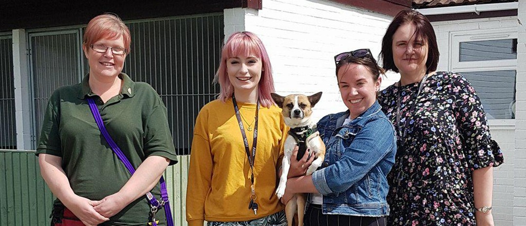 Blog Jerry Green Dog Rescue Header