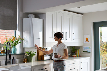 Homeowner kitchen Vogue Max 2