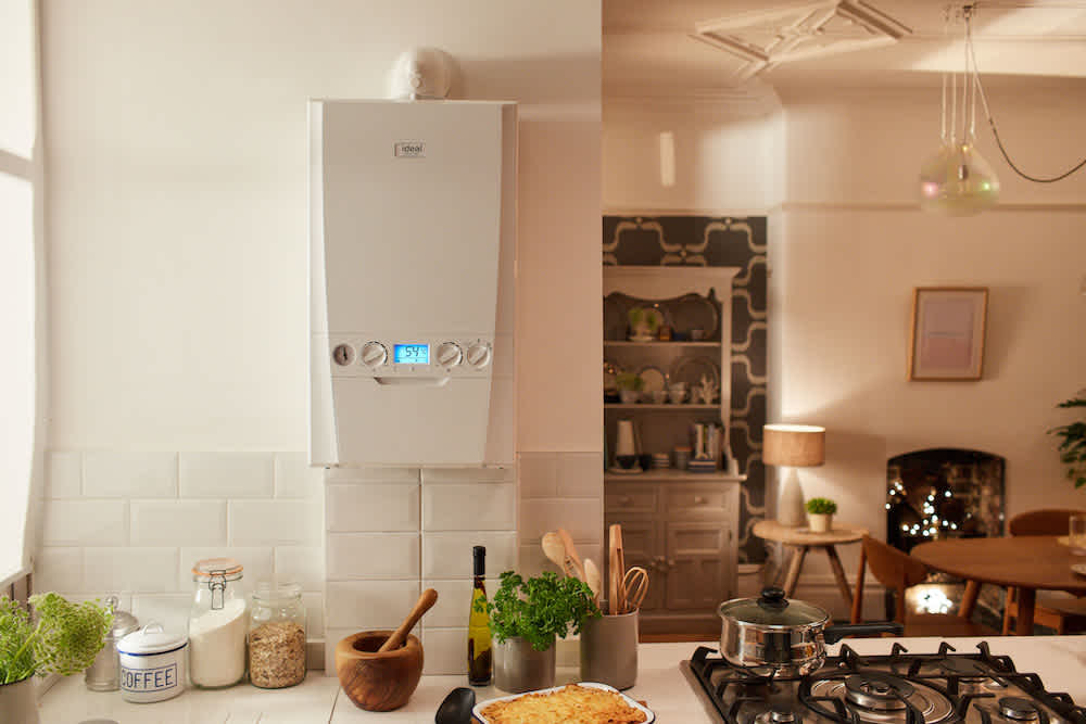 Evomax 2 Boiler Troubleshooting Manual