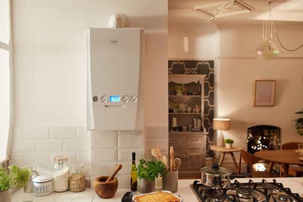 Evomax 2 Boiler Troubleshooting Manual