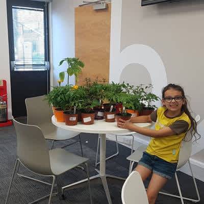 Plants sold and money raised for Macmillan Cancer Support