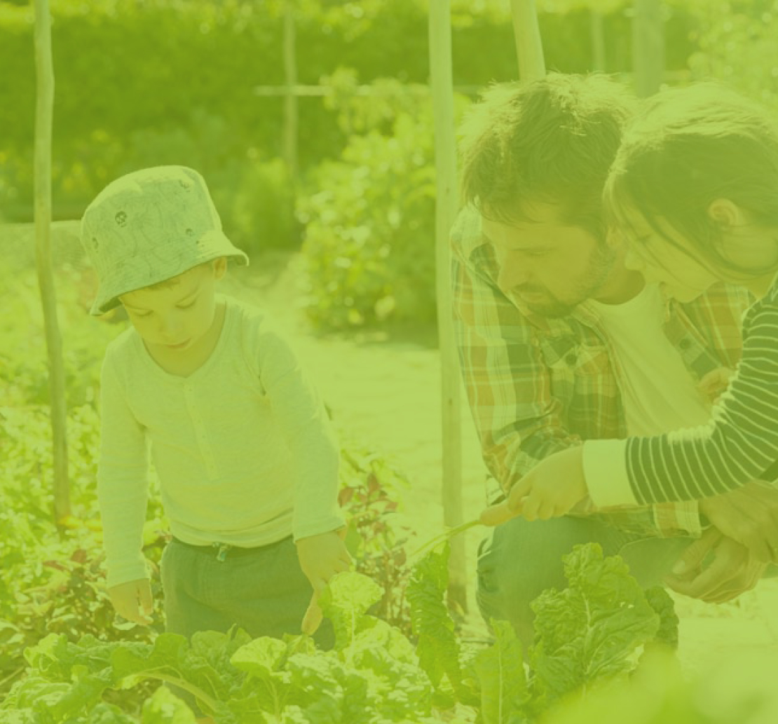 IHD 251126 NB pillar page banners v14