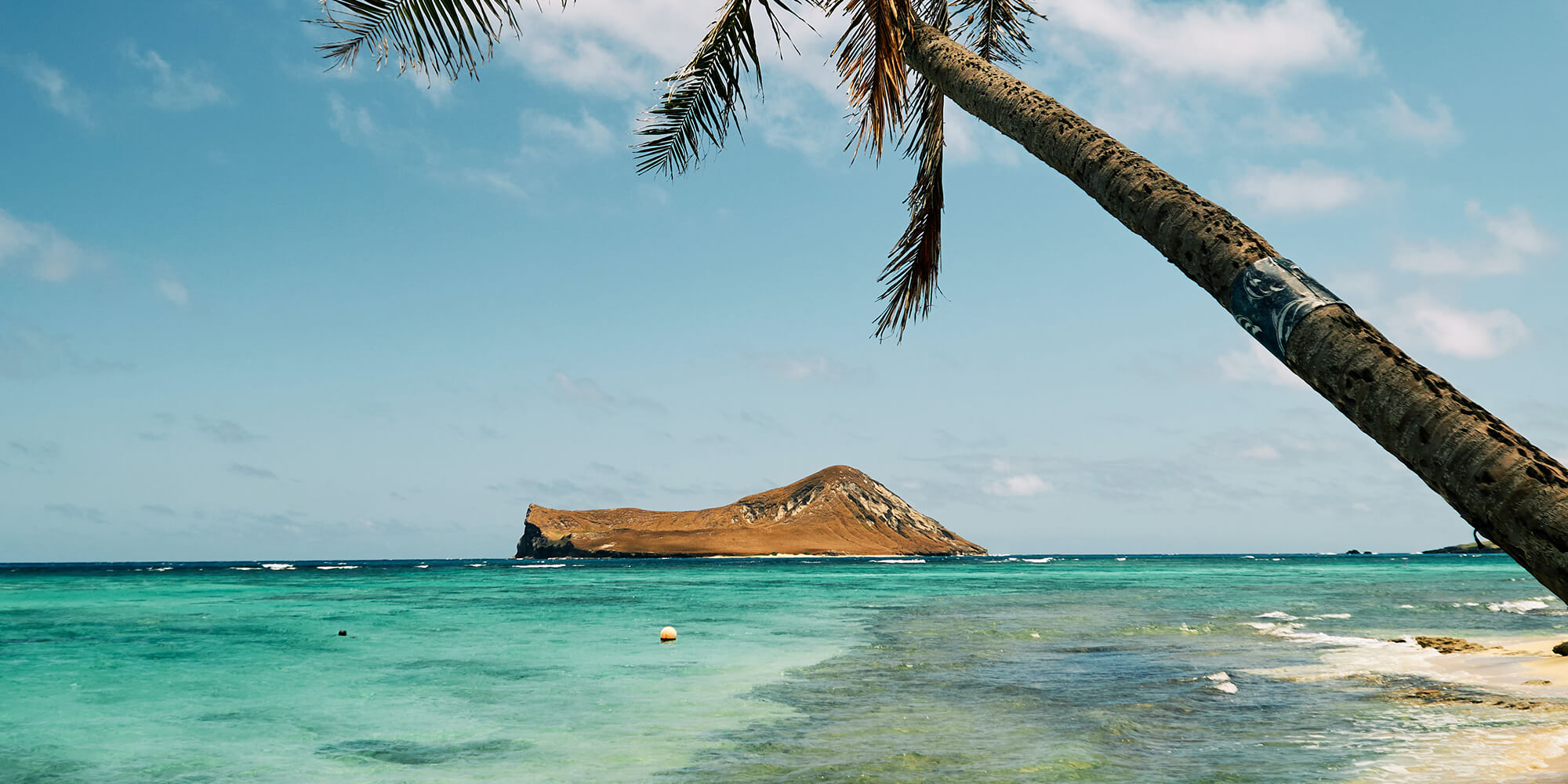 Craigslist Hawaii Housing Big Island