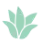 say-aloe-floral-image