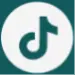 Pinterest icon