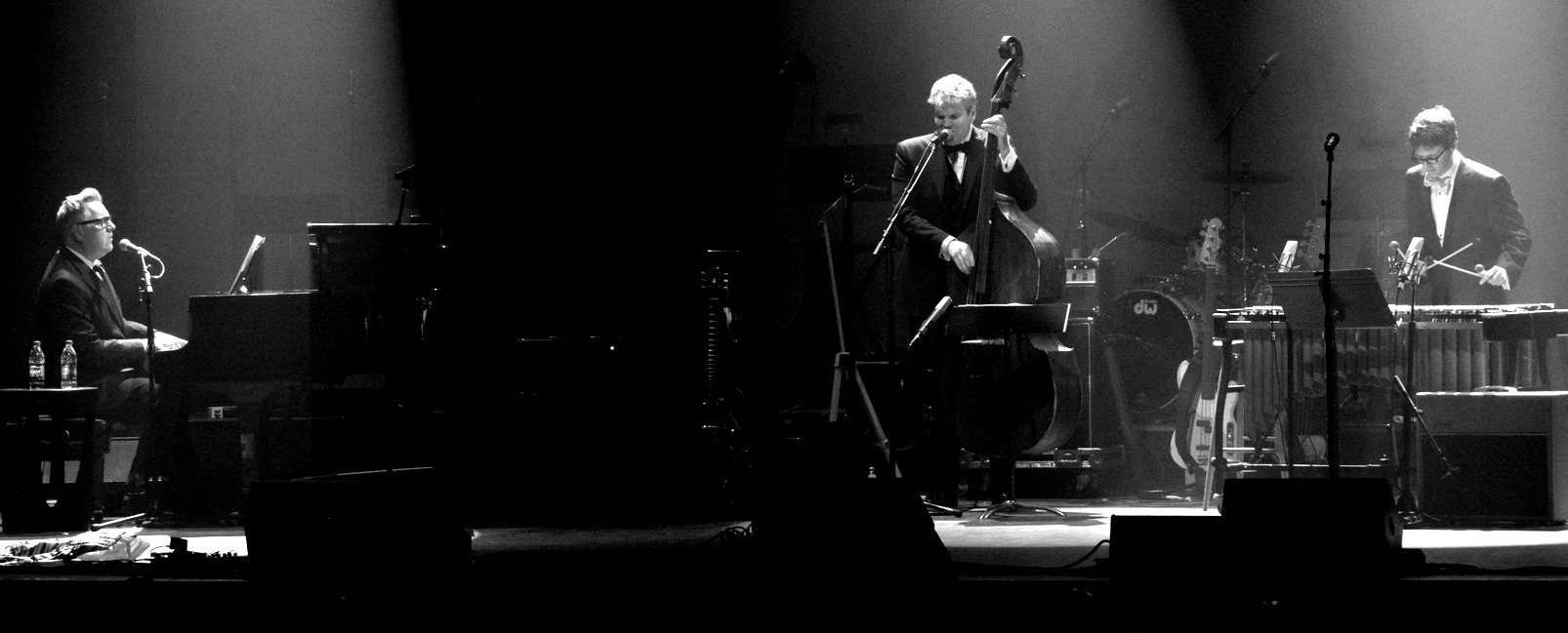 DSC 4060 StevenCohenPhoto