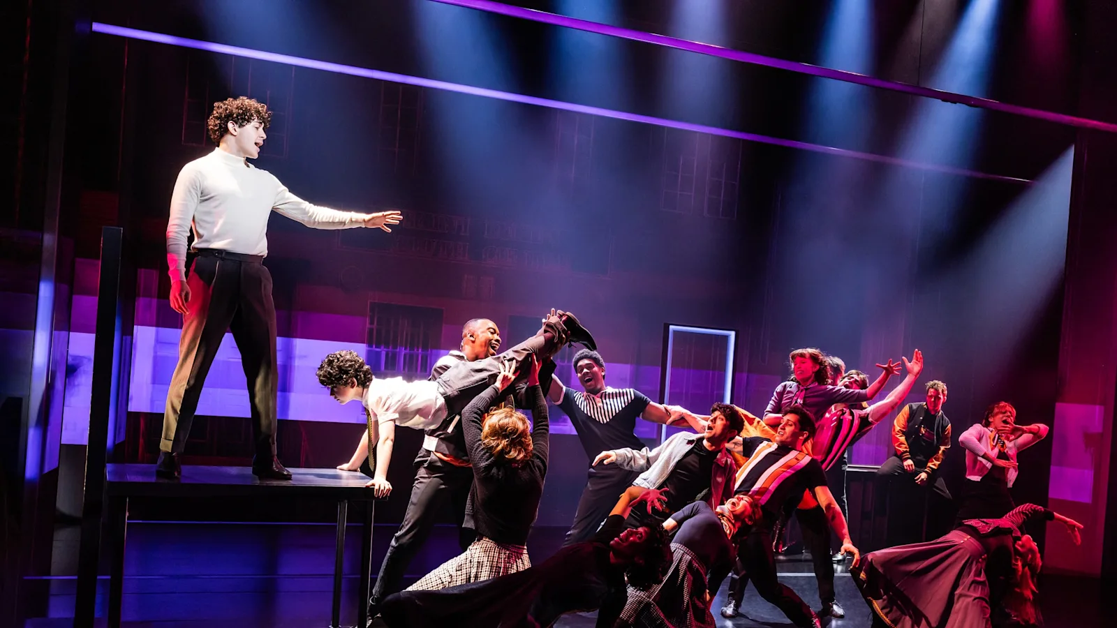 480226907 557434837339974 7845842636577708786 n