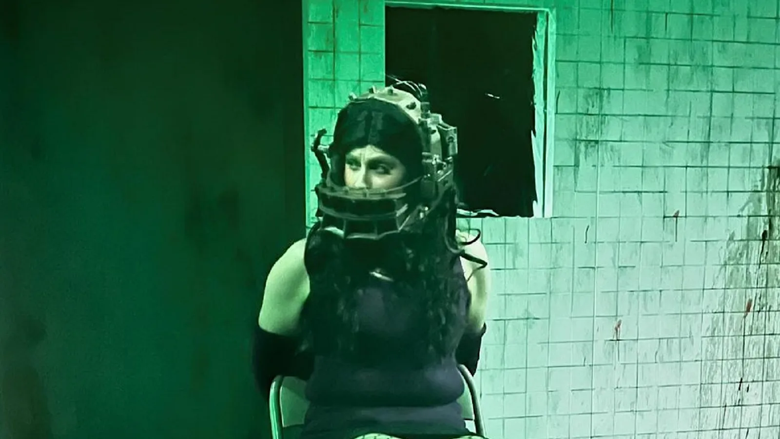 Amanda BearTrap 1600x 1250