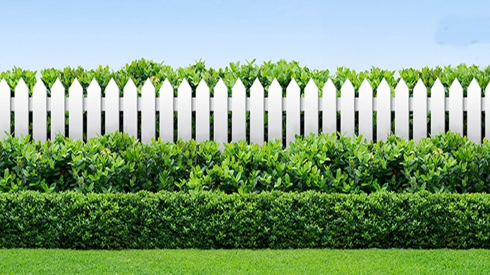 thumb 2565 2280 0 0 0 auto