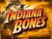 Indiana Bones image