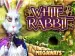 White Rabbit