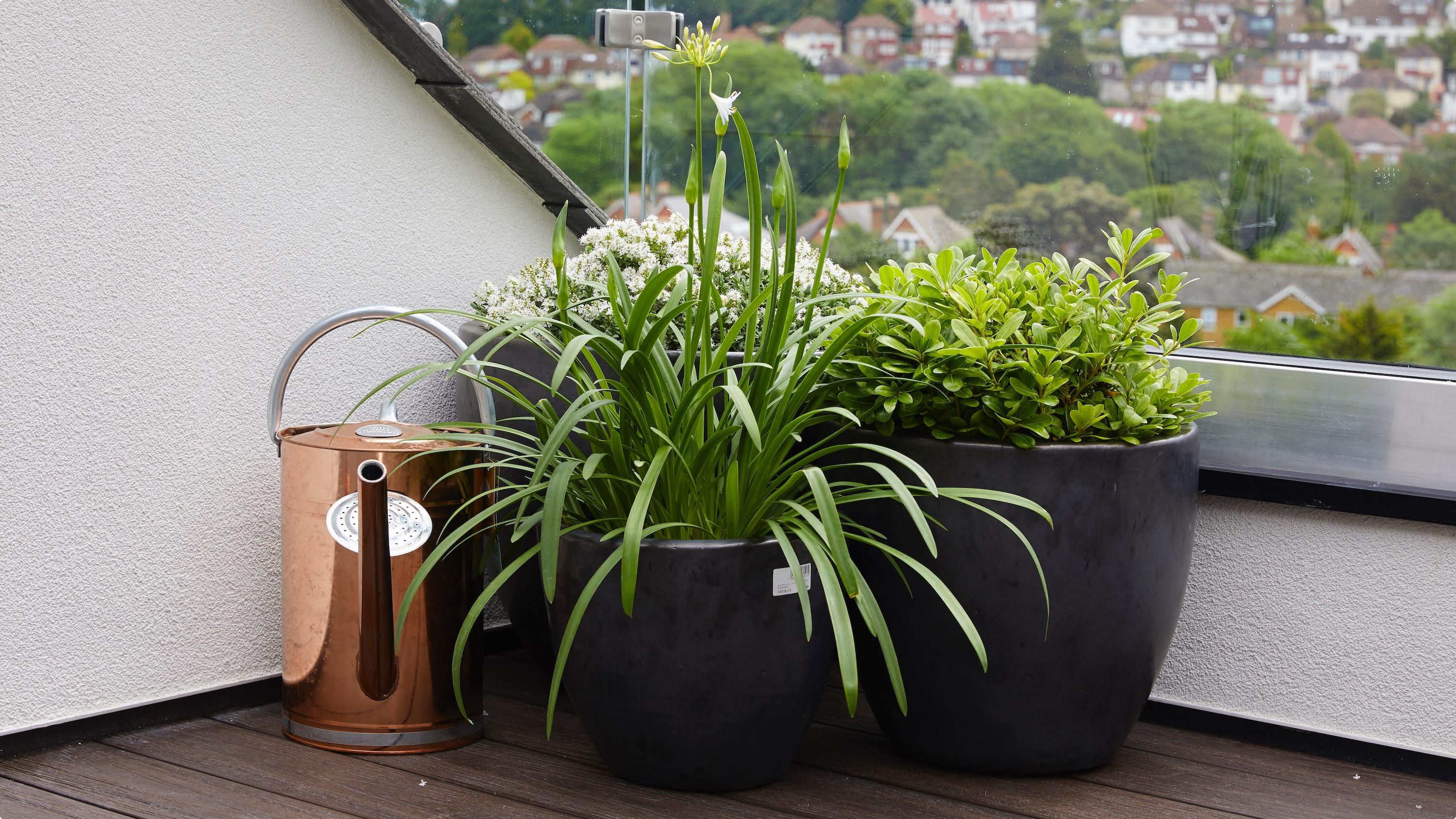 Planters on a roof terrace / balcony