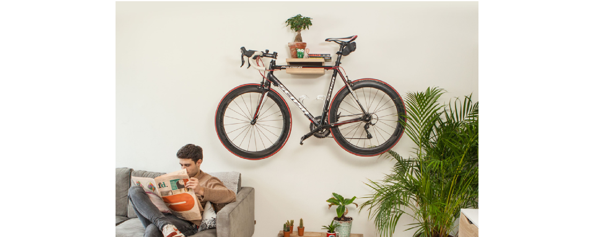 wall mounted bike