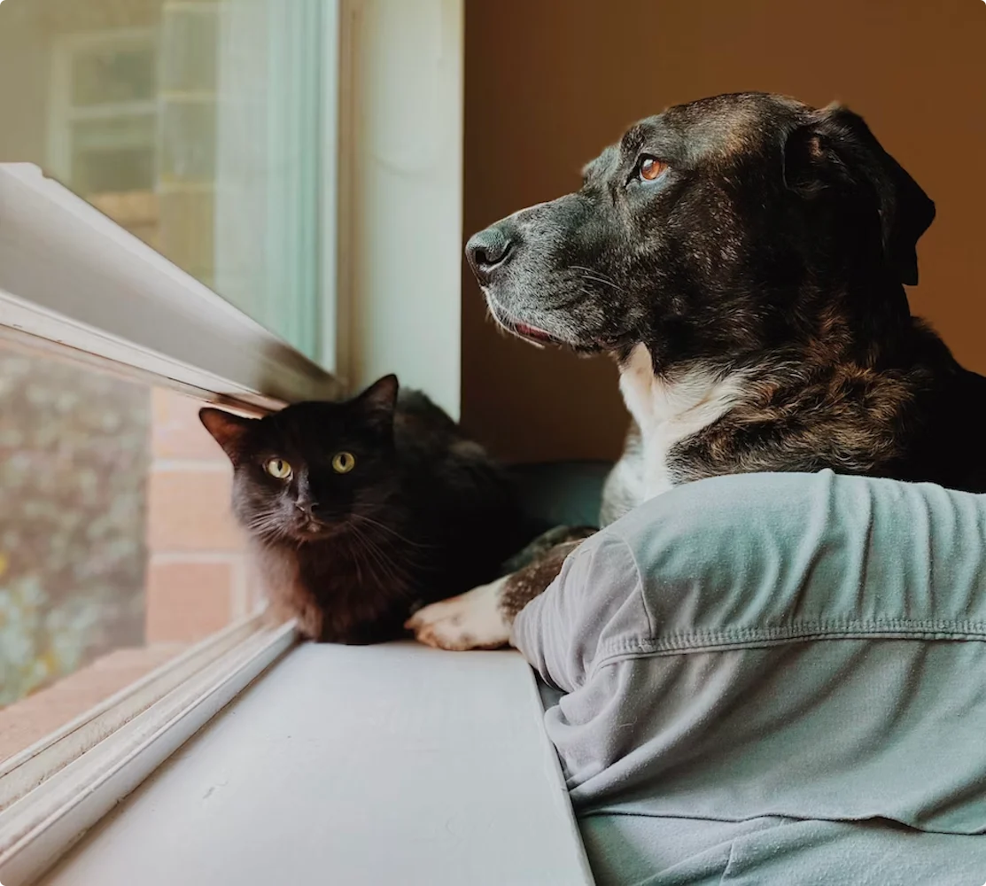 Crank open the windows, enjoy the breeze and keep cool this summer