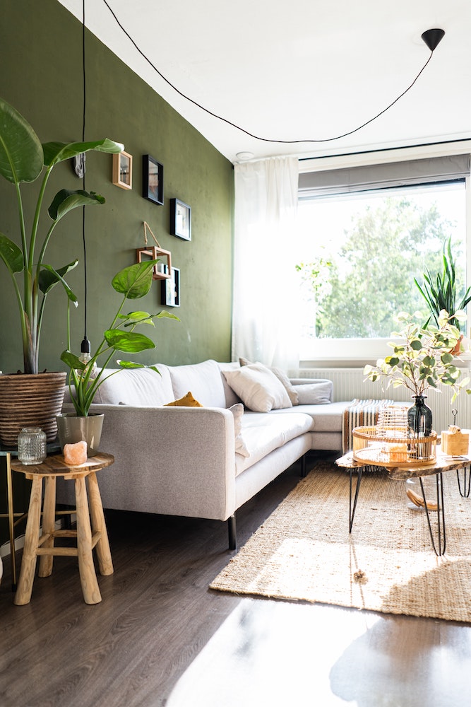 Invest in some green to love your home again