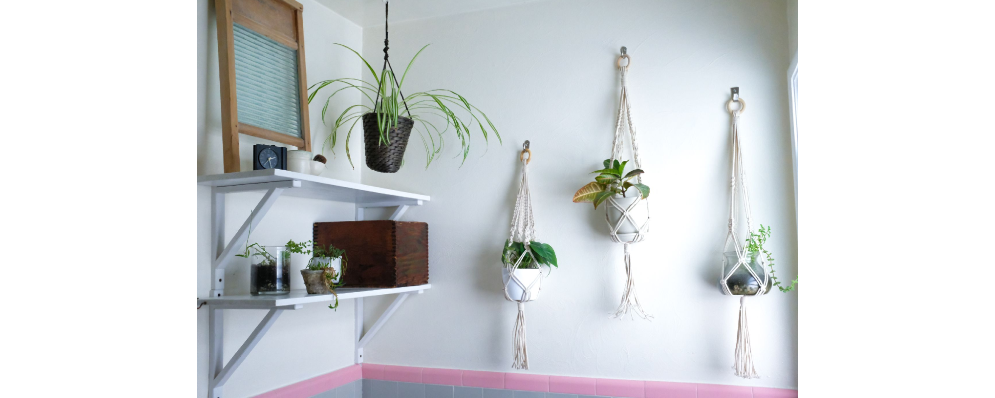 Hanging plants