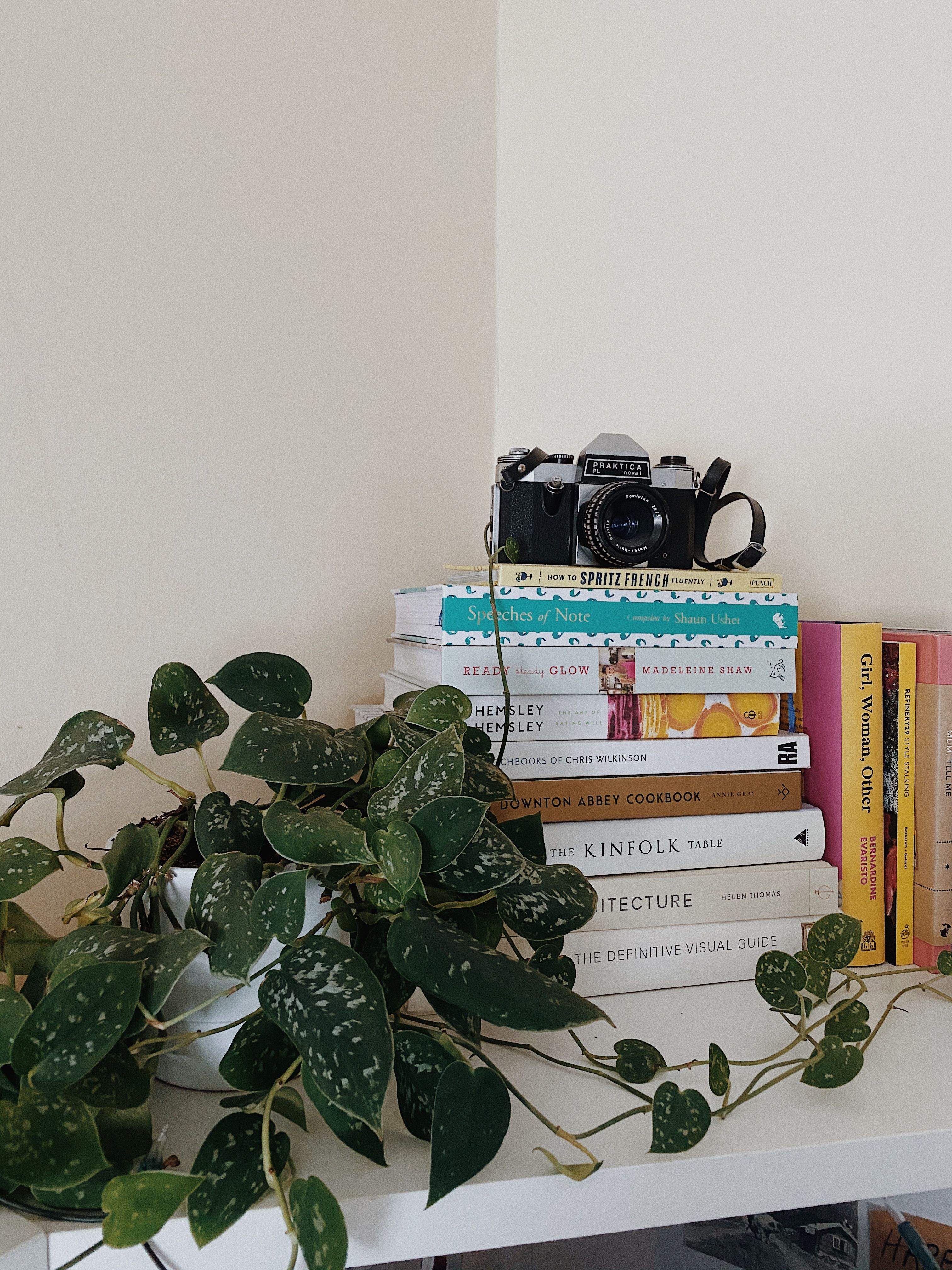 Houseplants 02