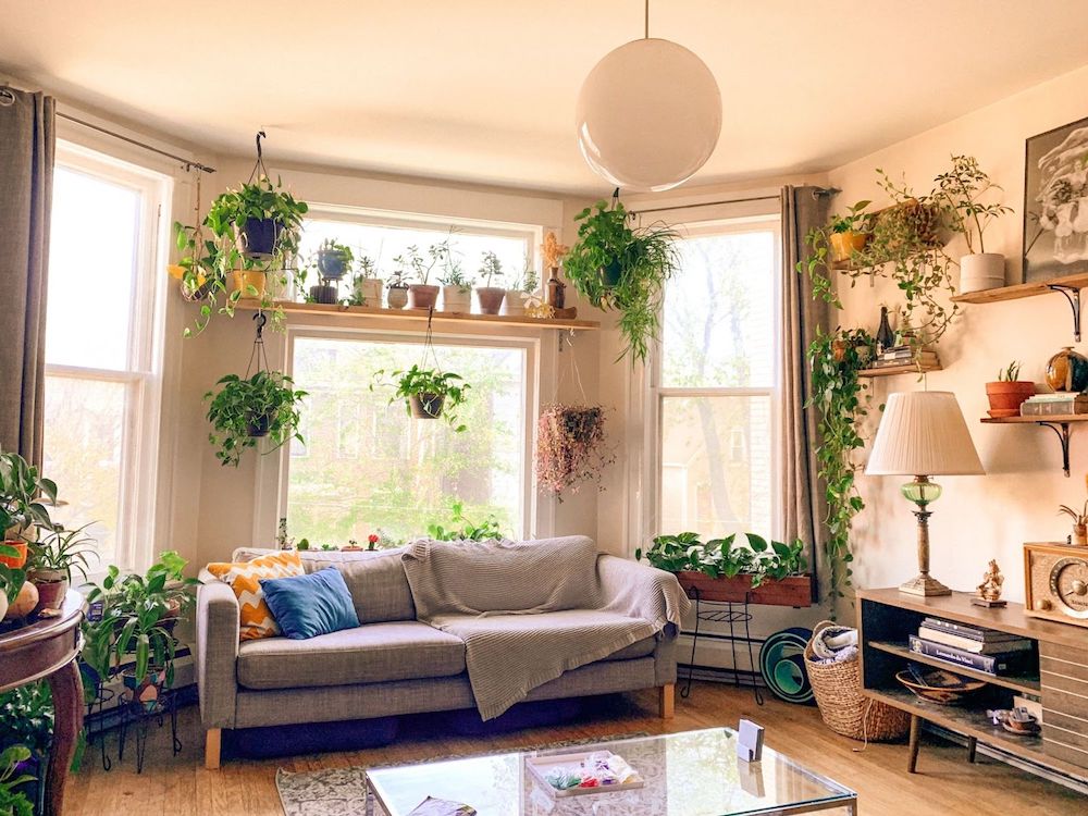 Boho Living Room Ideas To Help You
