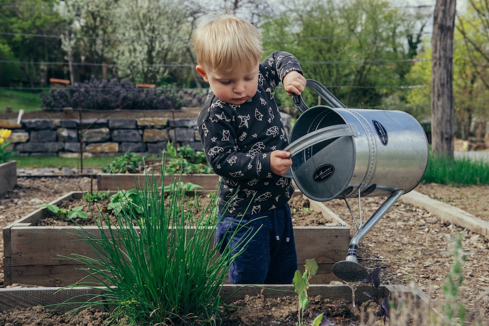Test out your gardening skills to help improve the flow between your home and garden