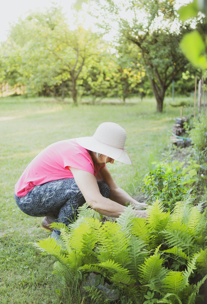 Find a local gardener to maintain your garden