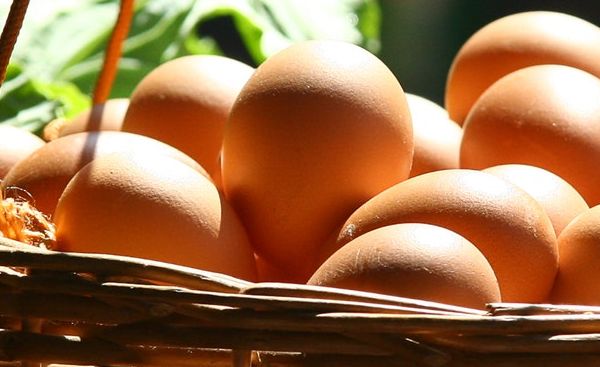 dieta-jajeczna-jakie-daje-efekty-jakie-sa-zasady