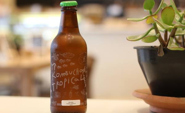 kombucha-co-to-jest-i-dla-kogo-zastosowanie