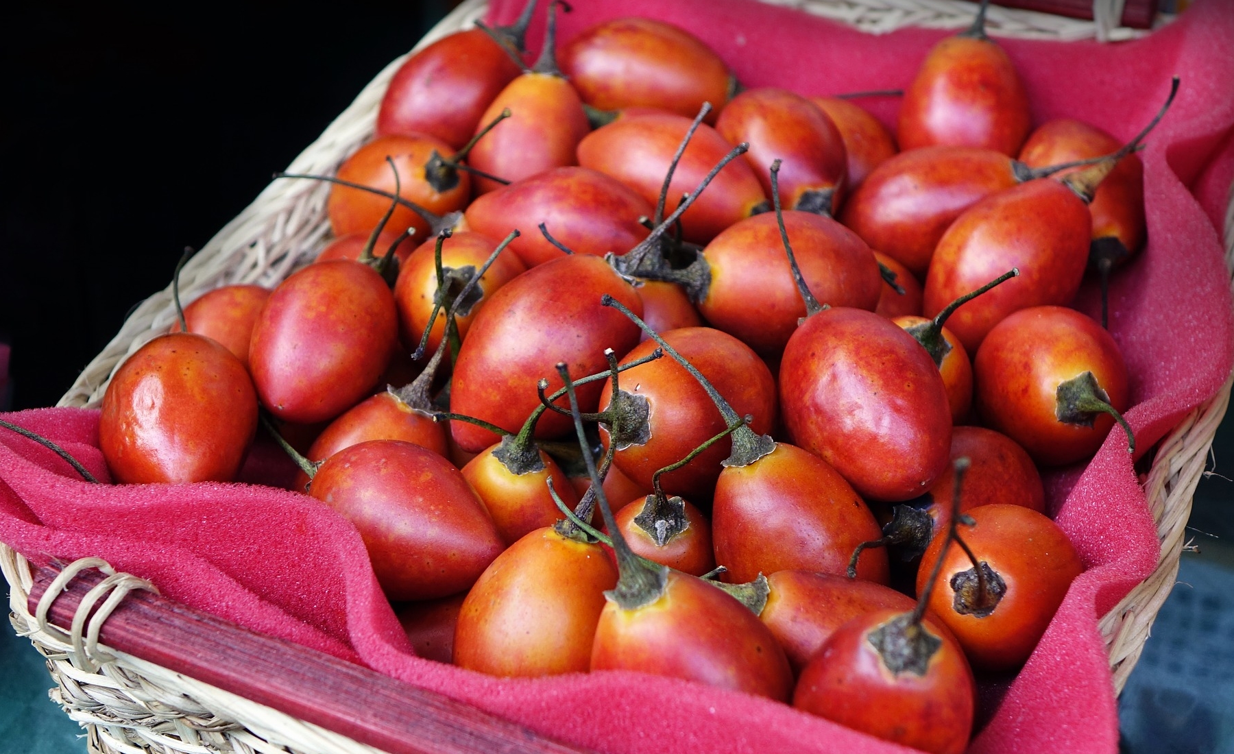 tamarillo-pomidor-drzewiasty-jak-jesc-ten-owoc