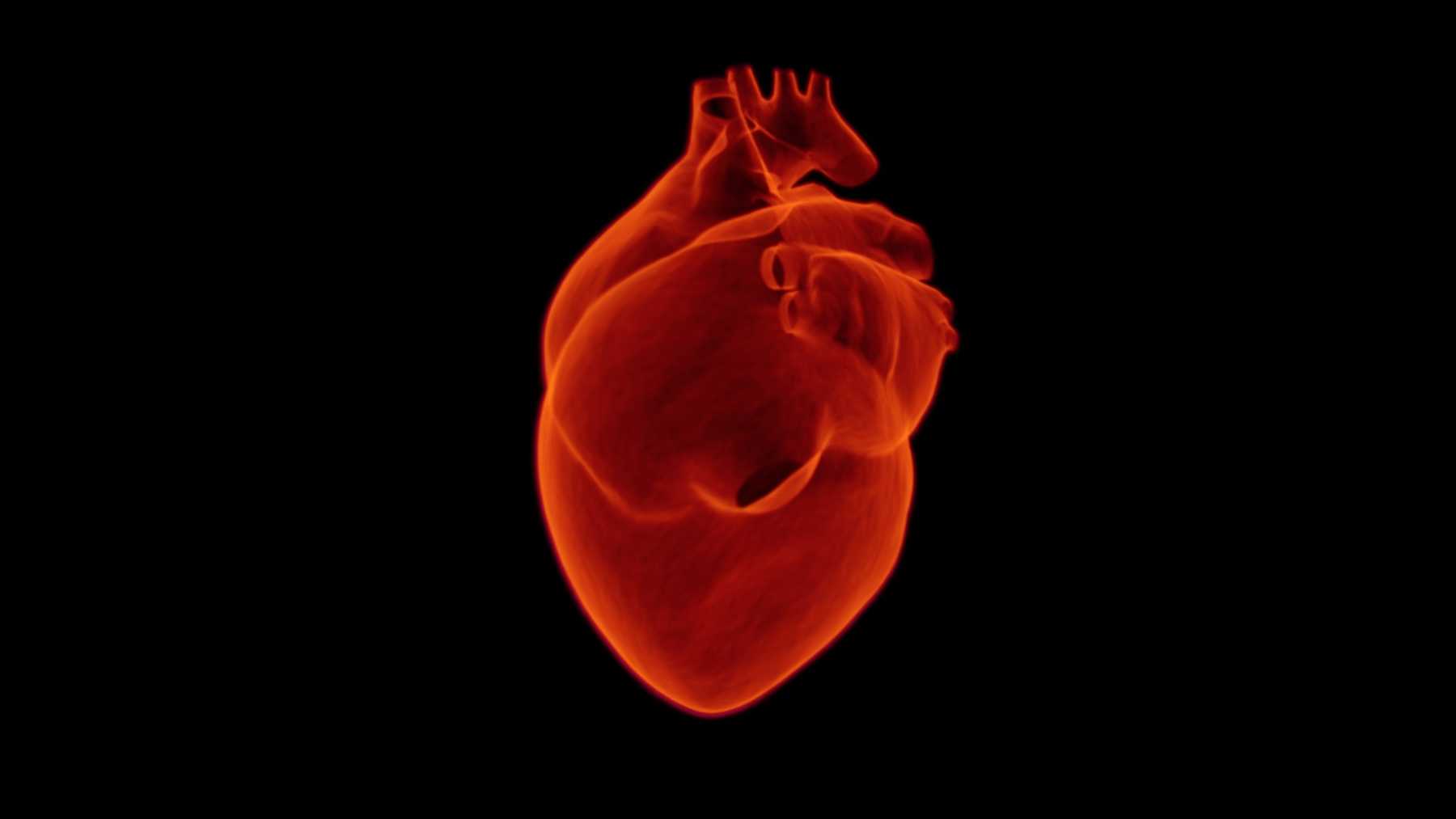 badania-serca-jakie-sa-rodzaje-na-czym-polegaja