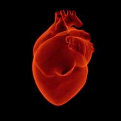 badania-serca-jakie-sa-rodzaje-na-czym-polegaja