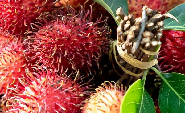 rambutan-jagodzian-rambutan-wartosci-odzywcze