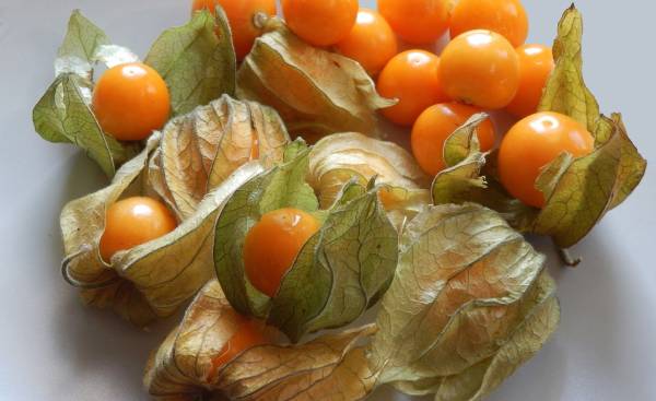 physalis-miechunka-co-to-jest-jak-jesc