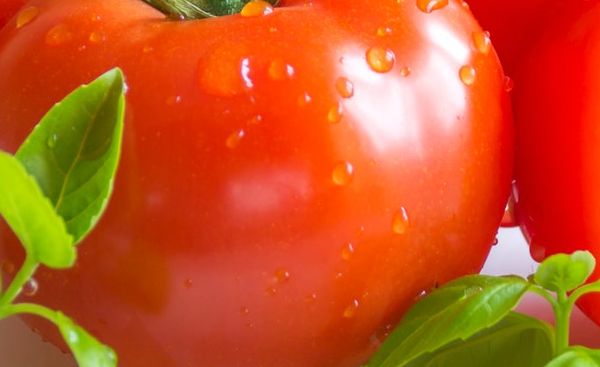 przepisy-na-pomidory-zielone-kiszone-w-sloiku