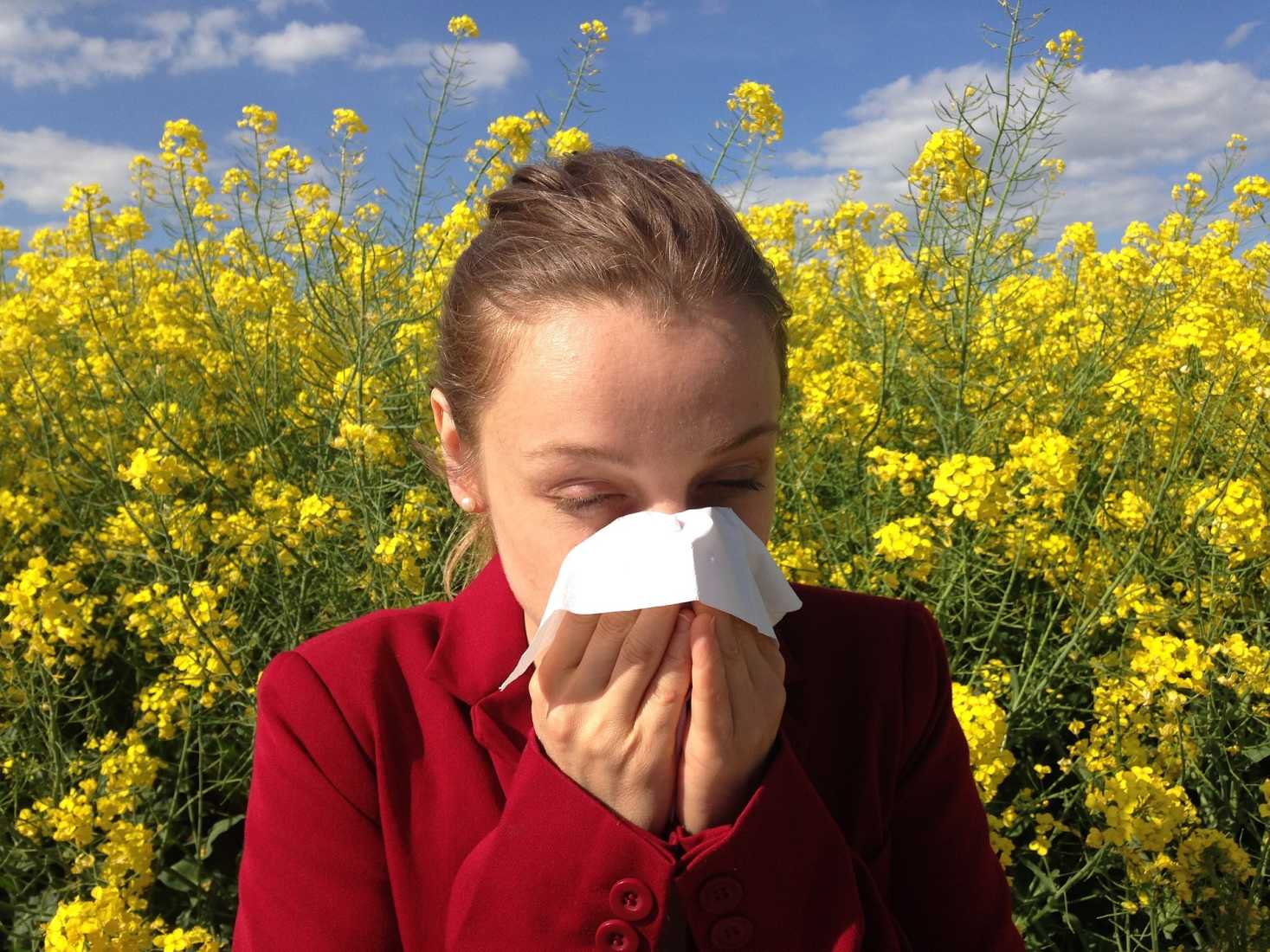 jak-sobie-poradzic-z-alergia-poznaj-5-sprawdzonych-sposobow