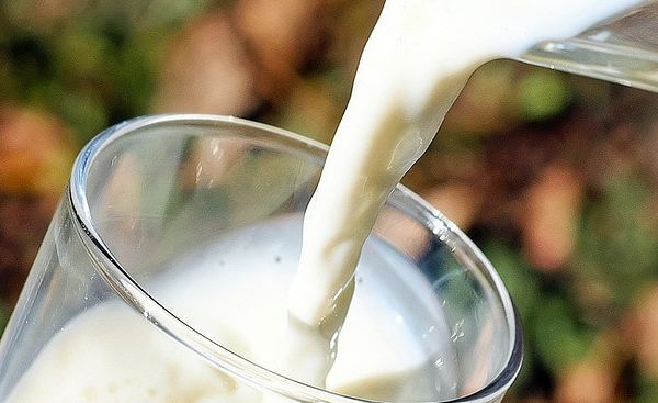 mleko-wartosci-odzywcze-rodzaje-zastosowanie