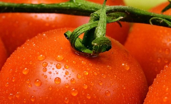 uczulenie-na-pomidory-objawy-jak-leczyc
