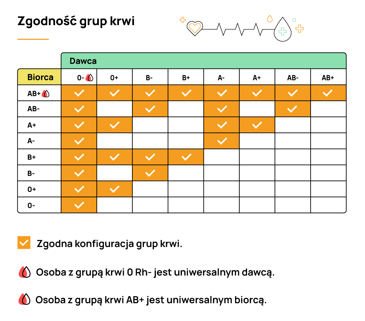 Grupy Krwi – Jakie Są Rodzaje? Jaka Jest Najrzadsza? | Welbi.pl