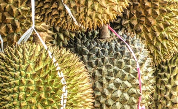 durian-owoc-jak-wyglada-pachnie-i-smakuje