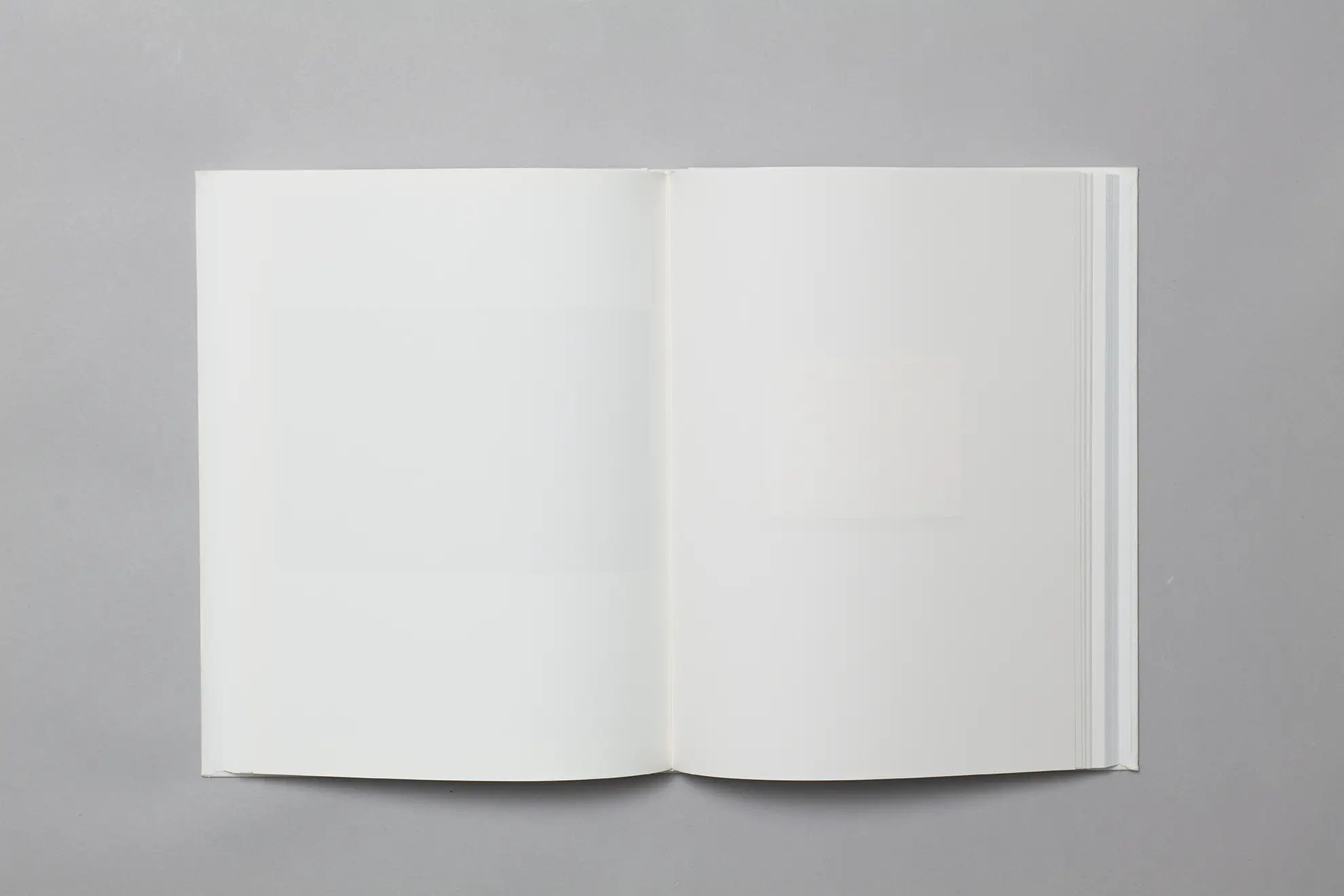 内藤礼『うつしあう創造』特装版 | 京都の美術印刷ならサンエムカラー