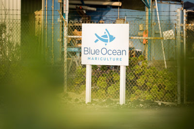 Blue Ocean Mariculture sign in front of their HQ